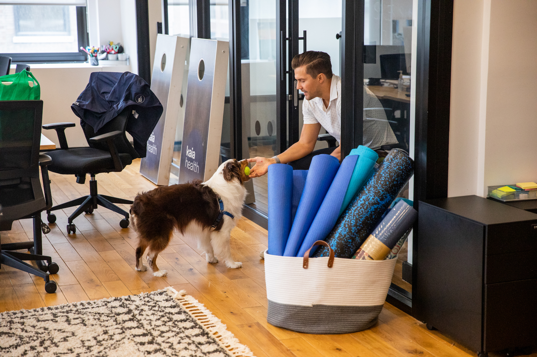 An employee plays fetch with a dog in the office.