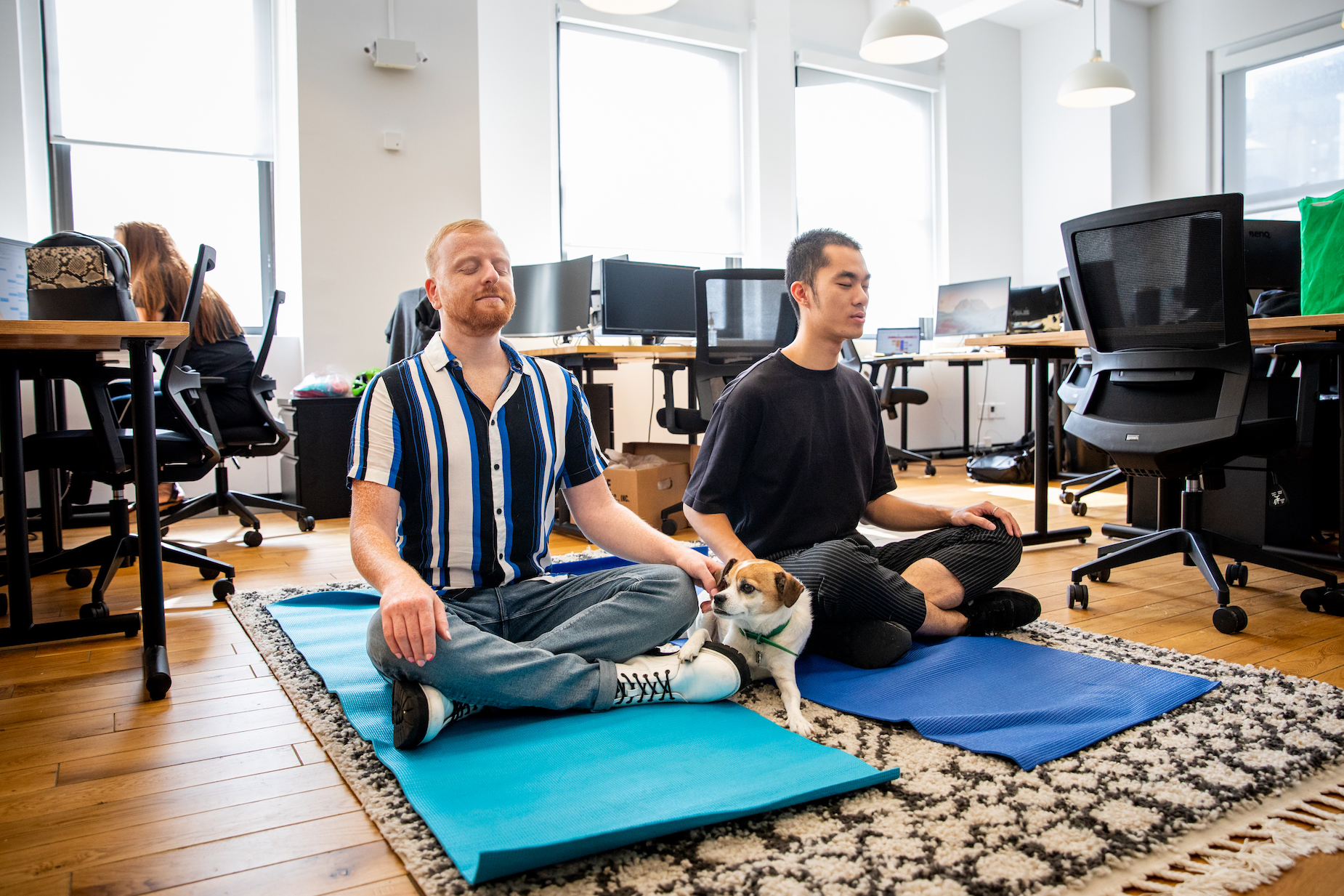 Ross Greenberg and another employee take a break to do yoga in the office while a dog lays in between them.