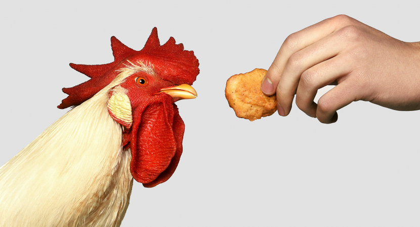 NYC-based Nuggs is rebranding and raised another $4.1M, with plans to launch a new line of faux meat products