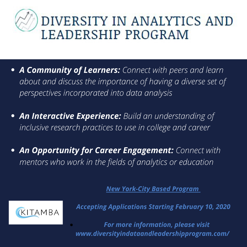Diversity in Analytics and Leadership Program Flyer