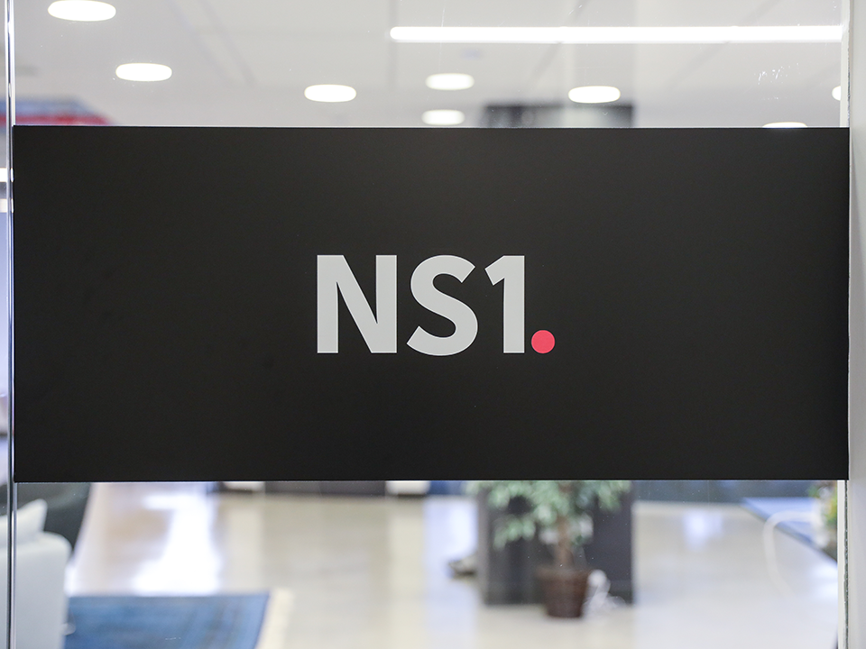NS1 Logo