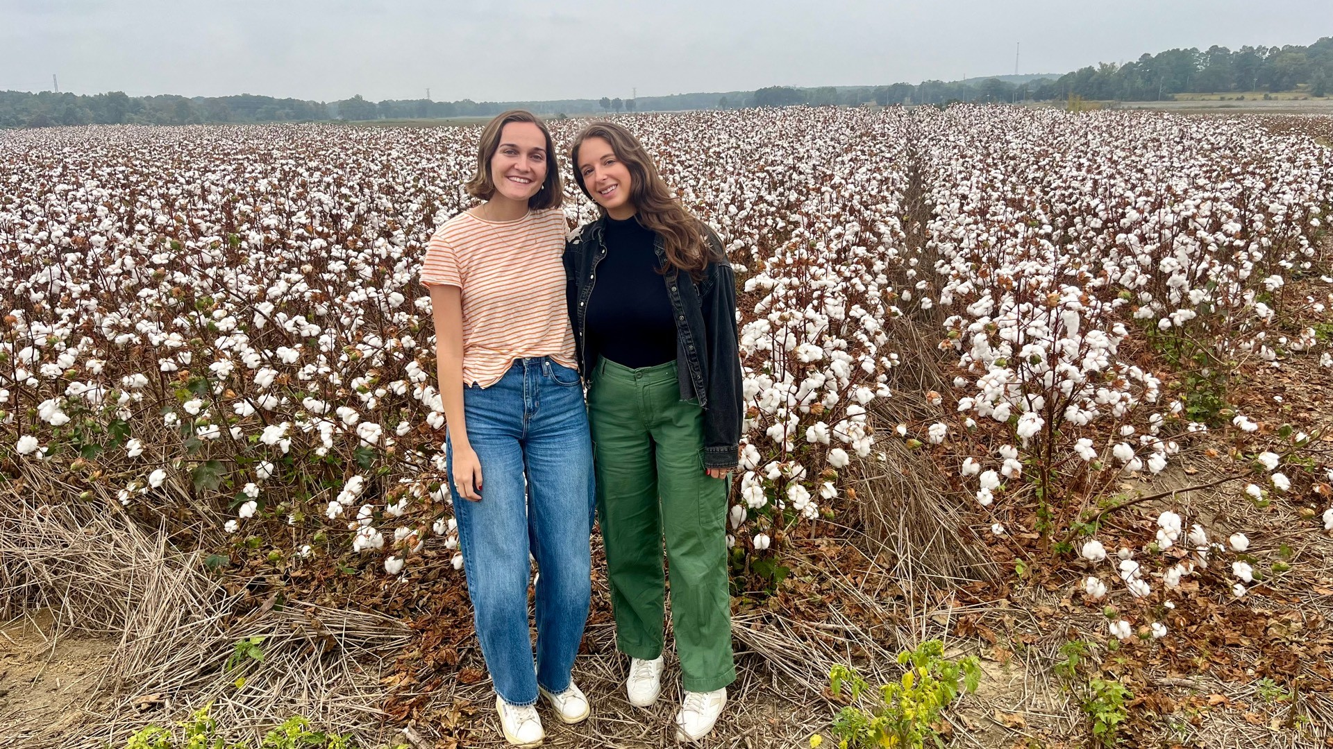 Jessie's team learning about advancements in regenerative agriculture practices in the cotton industry in Mississippi.