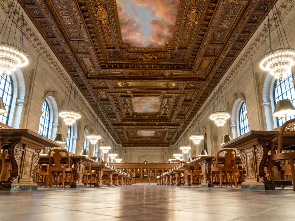 New York Public Library Schwarzman Rose Reading Room co-working space