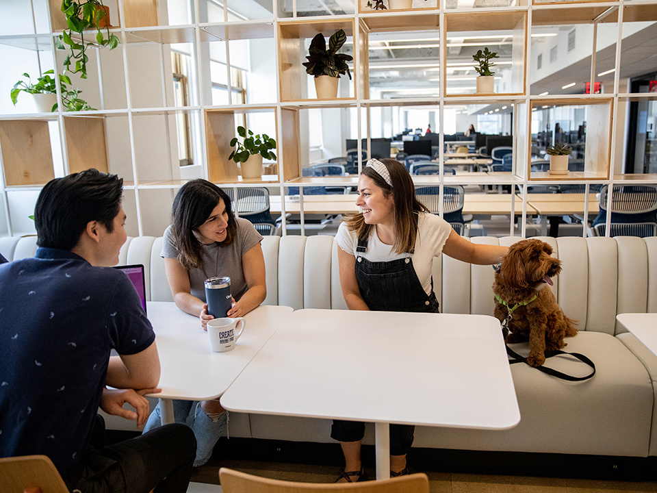A man, two women and a dog sit around a table at the Orchard office.