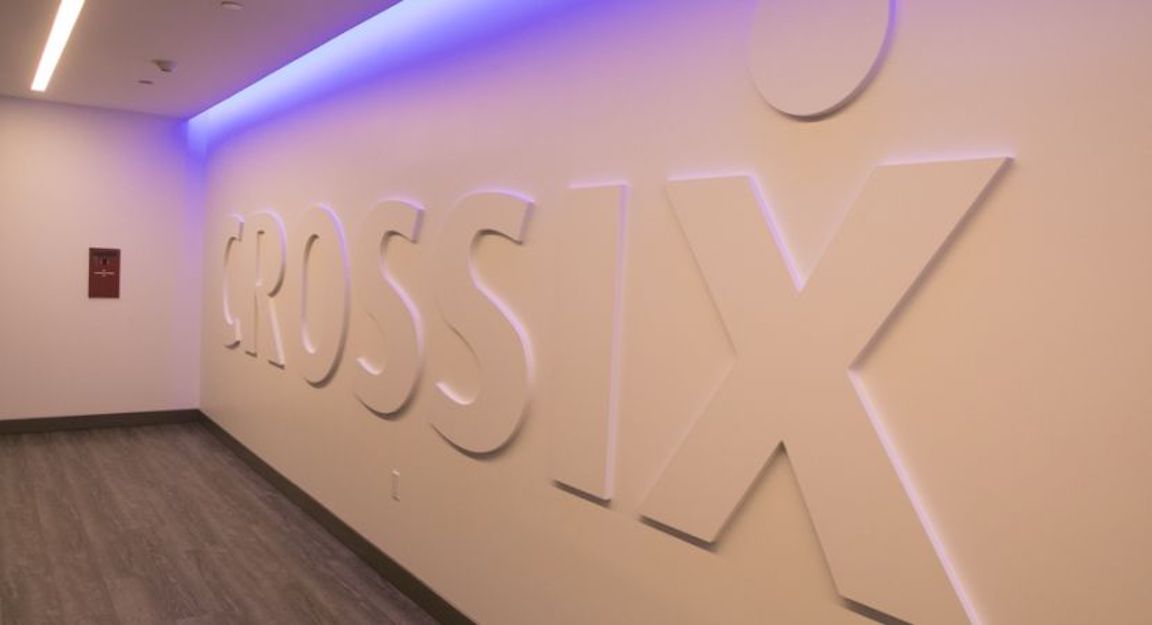 crossix big data company nyc