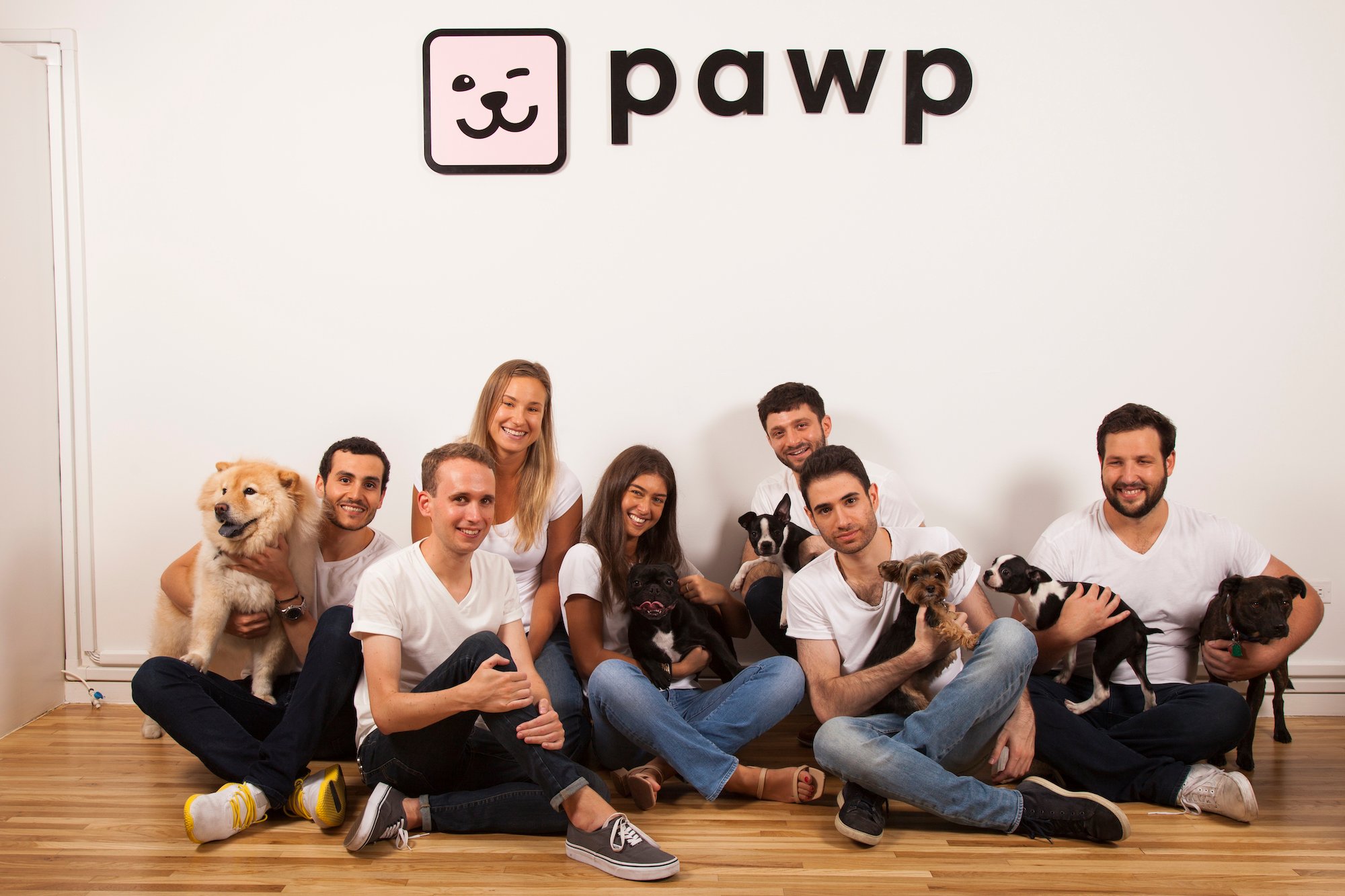 team of people with puppies
