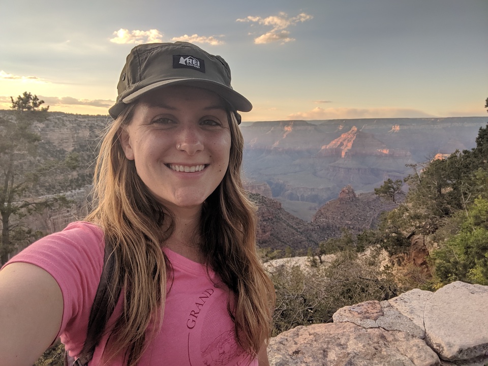 quartet health engineer on holiday at grand canyon