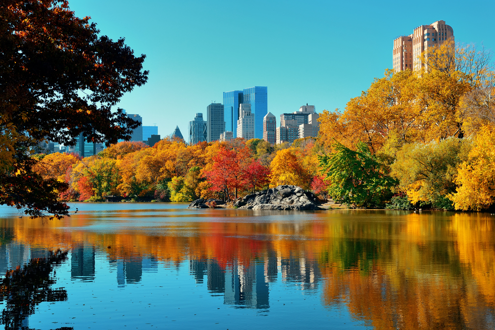 A view of a lake in Central Park with multicolored autumn leaves decorating the surrounding trees. 