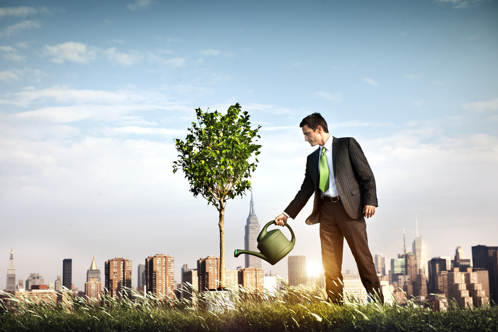 Man in business suit watering a tree with city skyline in background; conceptual image of investing in growing seedling business.