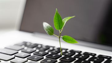 A tiny plant sprouts out of a keyboard.